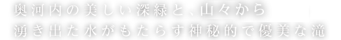 奥河内の美しい深緑と、紀伊山地から湧き出た水がもたらす神秘的で優美な滝